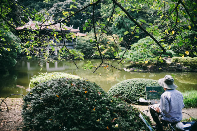 Japanese garden in summer weather