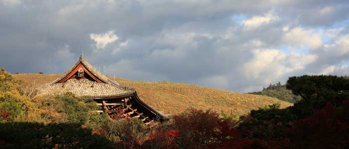 Japan UNESCO World Heritage Site: Ancient Nara