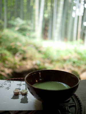 Drinking Green tea at Hokokuji Temple, Kamakura