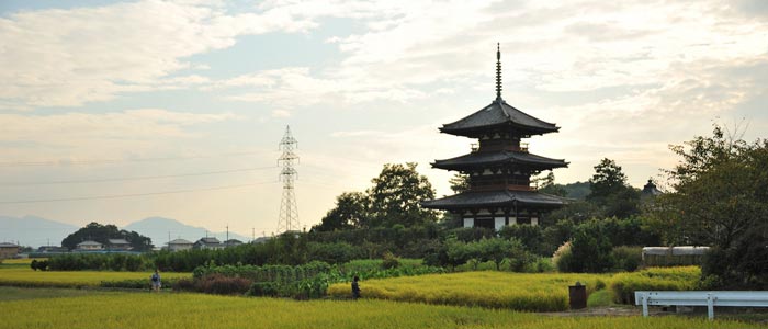 Japan UNESCO World Heritage Site: Horyu-ji