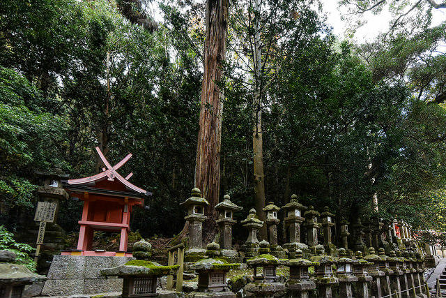 Kasuga Taisha Shrine in Nara, Japan Kasuga Taisha Shrine in Nara, Japan
