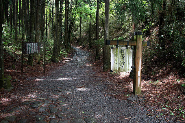 Hiking the old Tokaido Road, Hakone, Japan