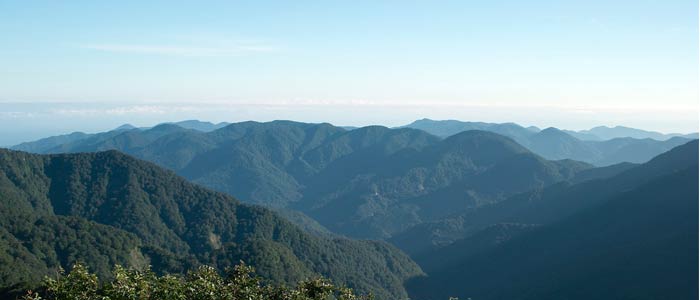 Japan UNESCO World Heritage Site: Shirakami-Sanchi