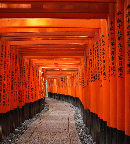 Thousands and thousands of Torii, Japan Thousands and thousands of Torii, Japan